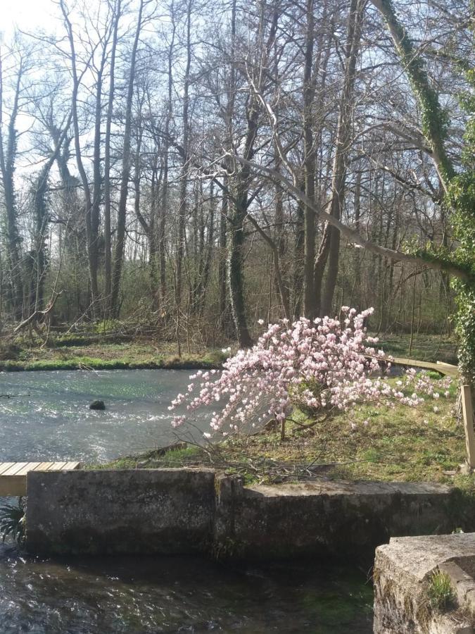 Rotteleux Riviere Apartment Senarpont Bagian luar foto
